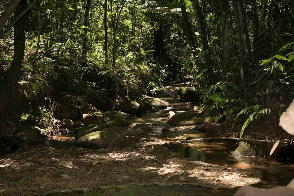 Hotel Fazenda Paraiso Da Serra Конгоняс Екстериор снимка